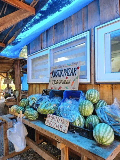 Orta 20250717_151925