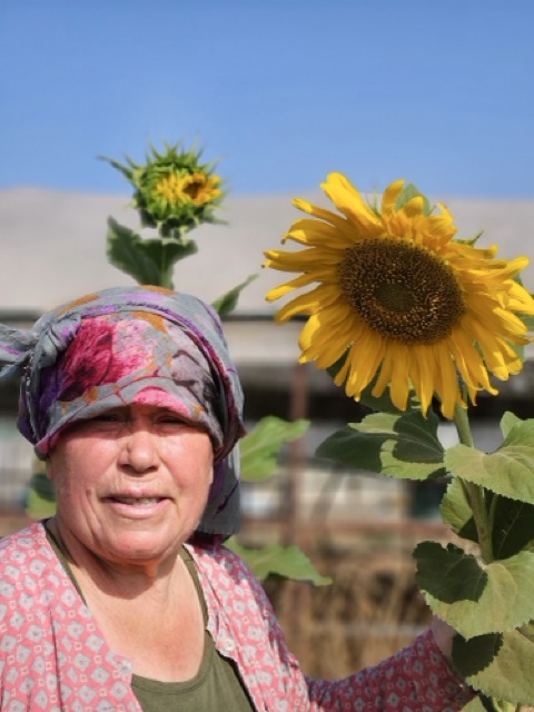 Orta 20250728_092002